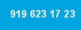 919 623 17 23